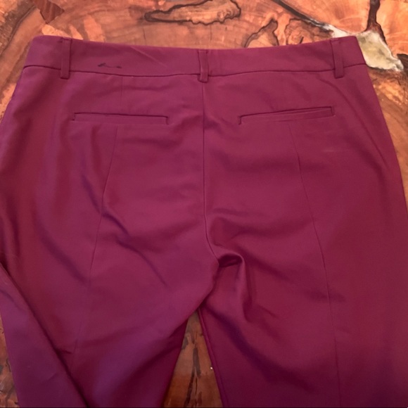 Express Size 10 R Columnist Pant - Picture 6 of 7